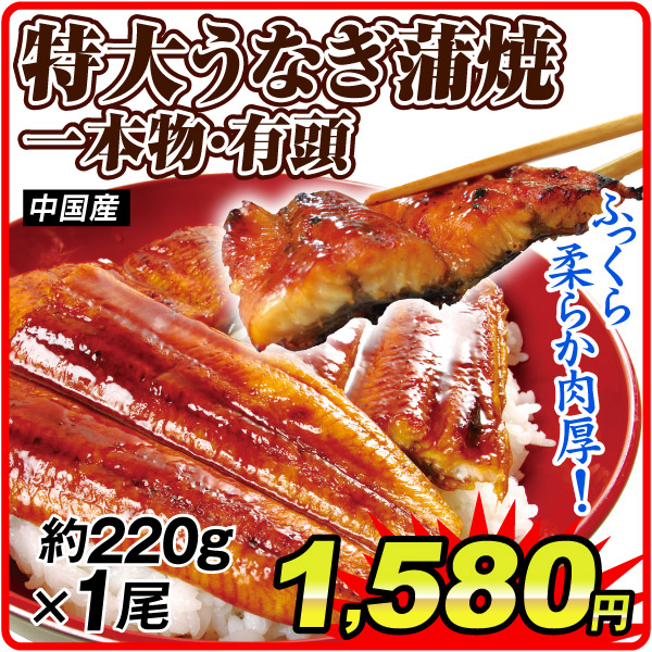 特大鰻蒲焼 一本物有頭 1尾 食品