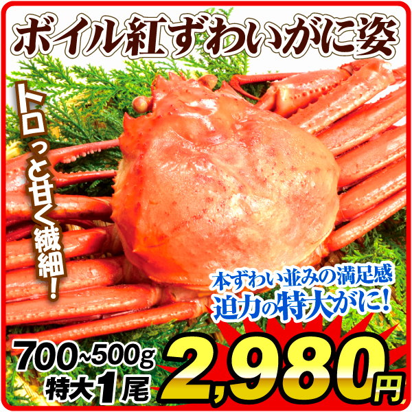 かに 特大 ボイル紅ずわいがに姿 1尾 北海道産 ゆで蟹 冷凍便 食品