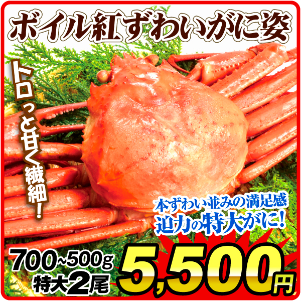かに 特大 ボイル紅ずわいがに姿 2尾 北海道産 ゆで蟹 冷凍便 食品