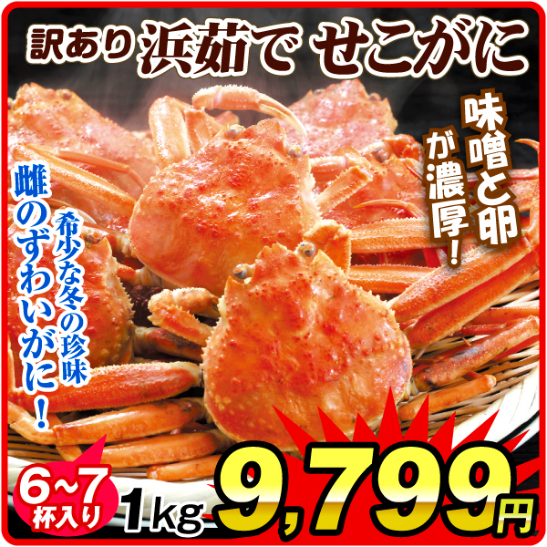 かに 大特価 浜茹でせこがに 約1kg 訳あり ずわいがに せいこ蟹 香箱 冷凍便 食品