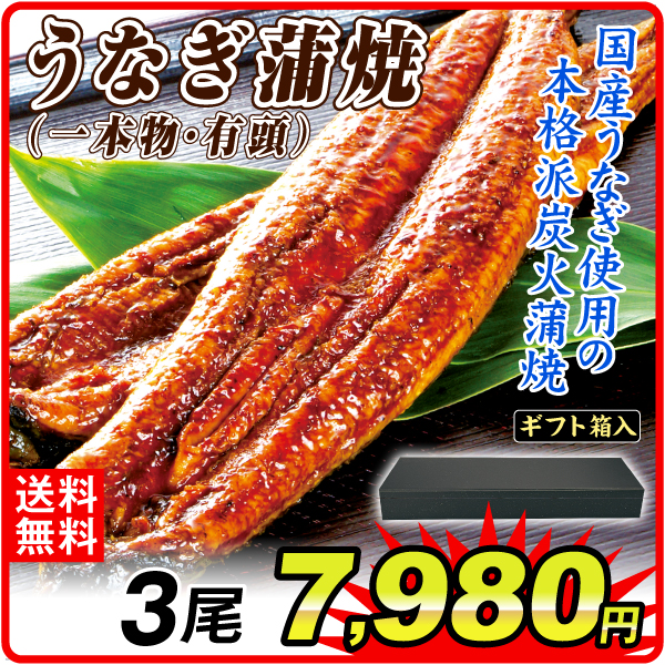 ギフト箱入 国産うなぎ蒲焼 一本物・有頭 2尾 食品 送料無料