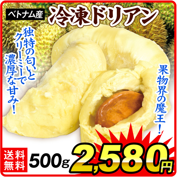 冷凍フルーツ 500g 冷凍ドリアン ベトナム産 化粧箱 冷凍便 送料無料 食品