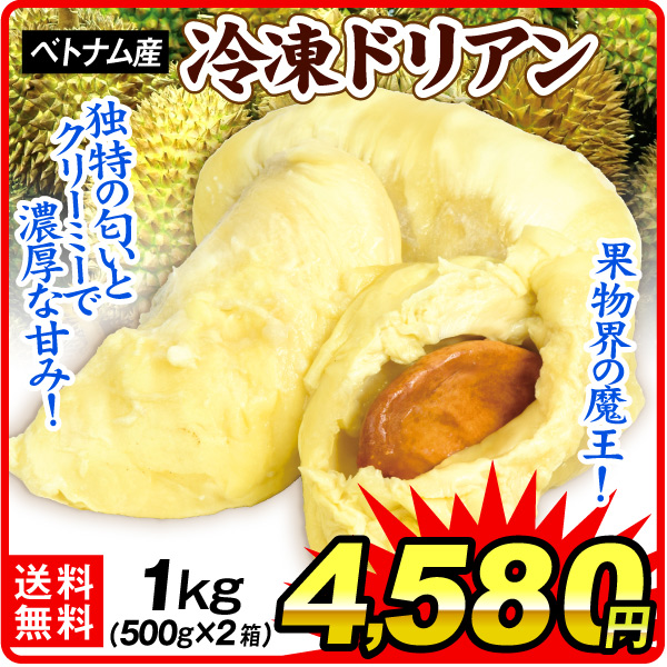 冷凍フルーツ 1kg 冷凍ドリアン ベトナム産 500g×2箱 化粧箱 冷凍便 送料無料 食品