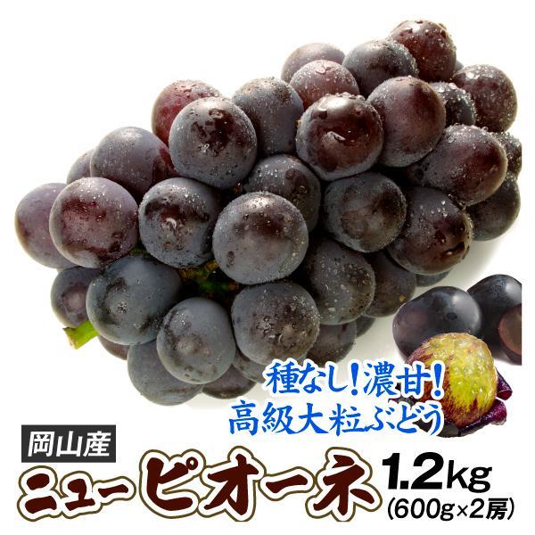ぶどう 約1.2kg ニューピオーネ 岡山産 大房 種なし 約600g×2房 黒ぶどう 送料無料 食品