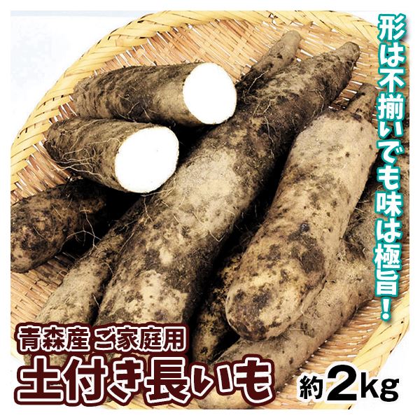 長いも・切れ子 2kg 土付き 青森産 送料無料 食品