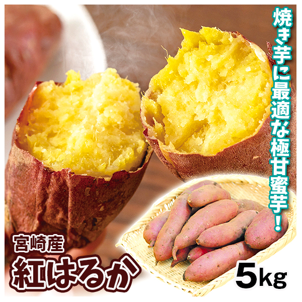 さつまいも 5kg 紅はるか ご家庭用 宮崎産 送料無料 食品