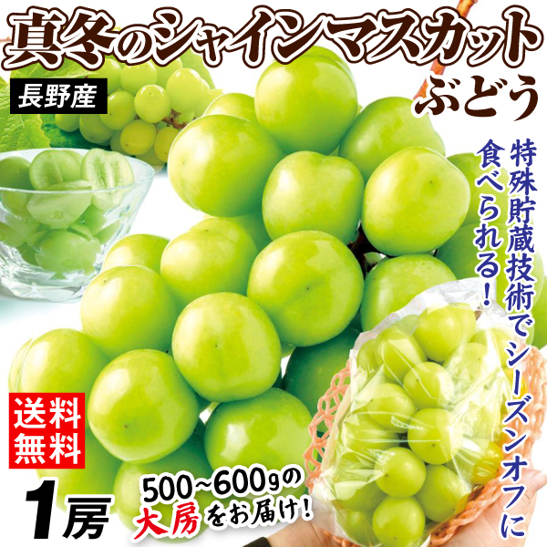 ぶどう 1房 真冬のシャインマスカット 長野産 12月上旬〜発送 送料無料 食品