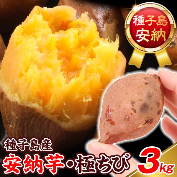 さつまいも 種子島産 安納芋・極ちび 3kg 小芋 送料無料 食品