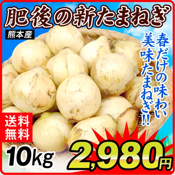 たまねぎ 10kg 肥後の新たまねぎ 熊本産 送料無料 食品