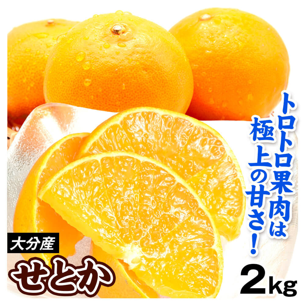 みかん せとか 2kg 大分産 ご家庭用 柑橘 フルーツ 蜜柑 送料無料 食品