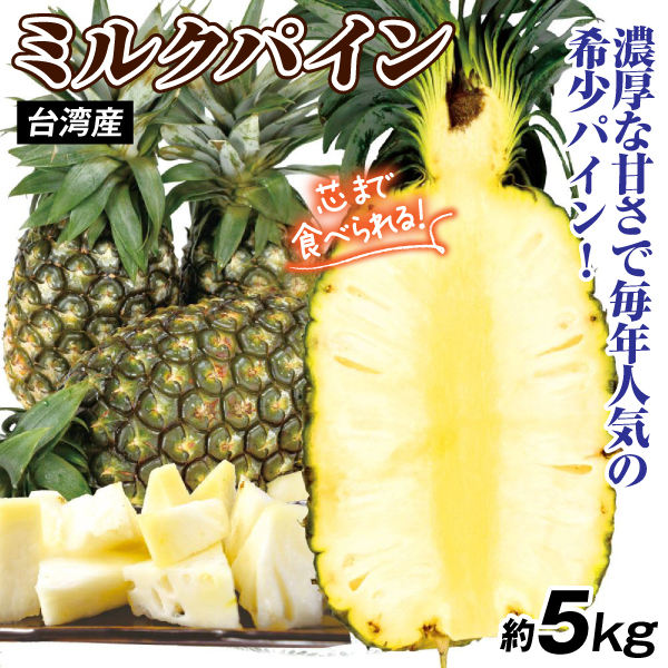 パイン 5kg ミルクパイン 台湾産 パイナップル ご家庭用 台農20号 牛奶鳳梨 食品