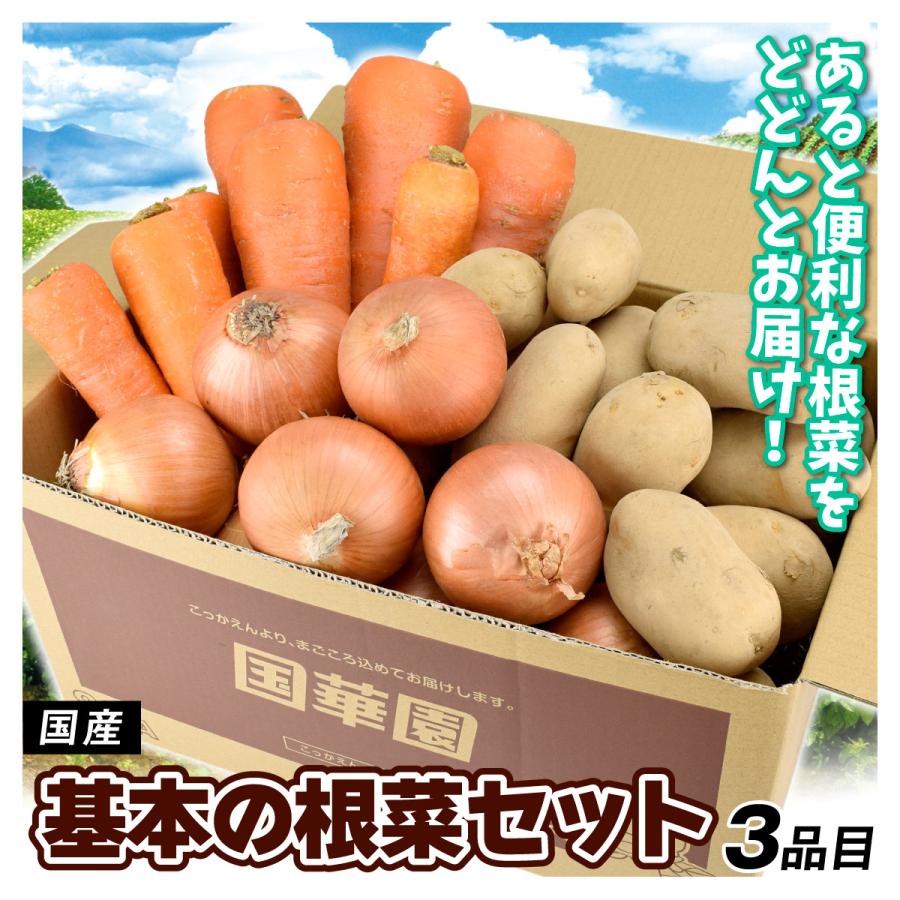 野菜セット 基本の根菜セット 3品目 1箱 合計5kg 国産 じゃがいも たまねぎ にんじん 詰め合わせ 送料無料 食品
