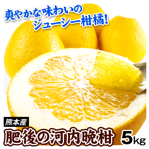 みかん 肥後の河内晩柑 5kg 熊本産 河内晩柑 柑橘 フルーツ 送料無料 食品