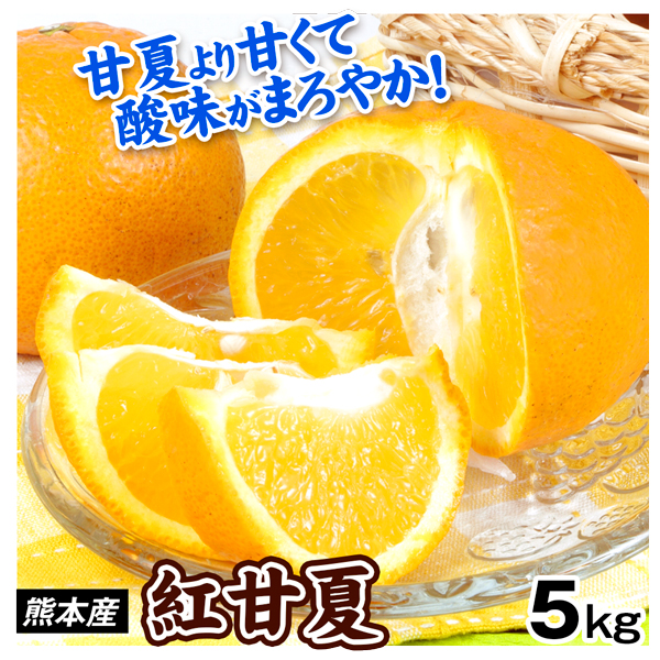 みかん 紅甘夏 5kg 熊本産 ご家庭用 あまなつ 柑橘 送料無料 食品