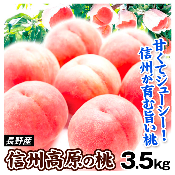 もも 3.5kg 信州高原の桃 長野産 ご家庭用 桃 信州 果物 フルーツ ピーチ 送料無料 食品