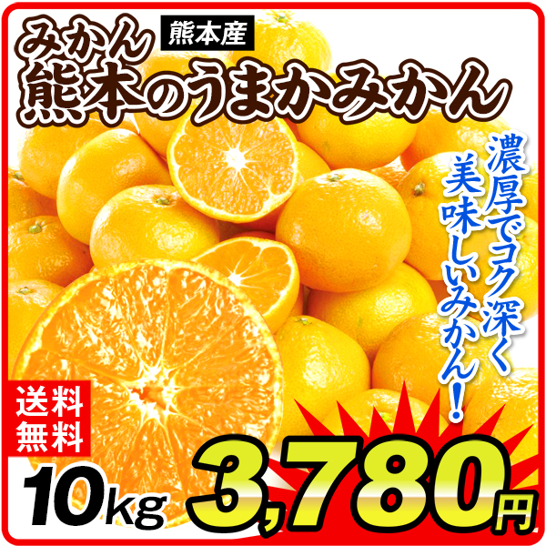 みかん 10kg 熊本のうまかみかん 熊本産 送料無料 食品