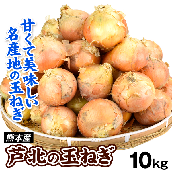 たまねぎ 10kg 熊本産 芦北のたまねぎ 秀品 送料無料 食品 国華園