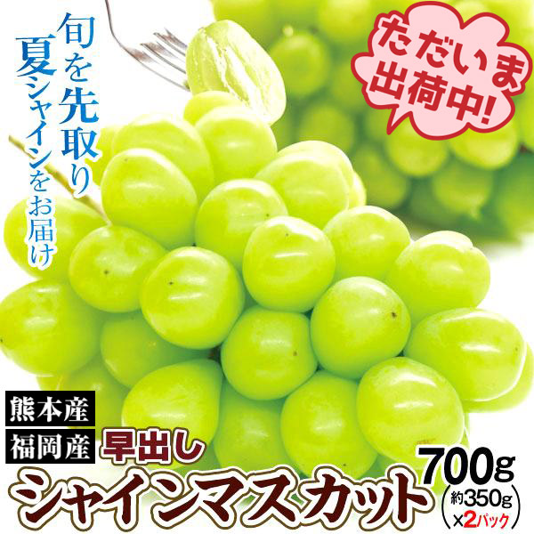 ぶどう 約700g 超早出しシャインマスカット 福岡産 熊本産 ご家庭用 350g前後×2パック ただいま出荷中 種なし 皮ごとOK 送料無料 食品