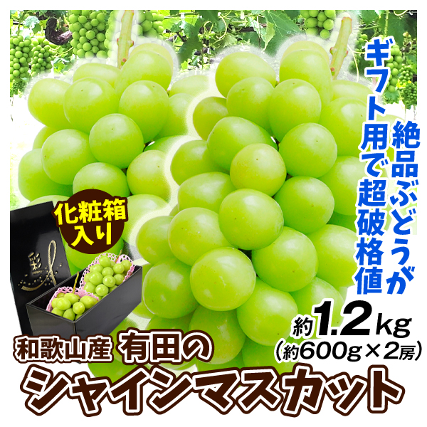 ぶどう  約1.2kg シャインマスカット （約600g×2房） 和歌山産 有田 ギフト 化粧箱入り 種なし 極甘 国華園