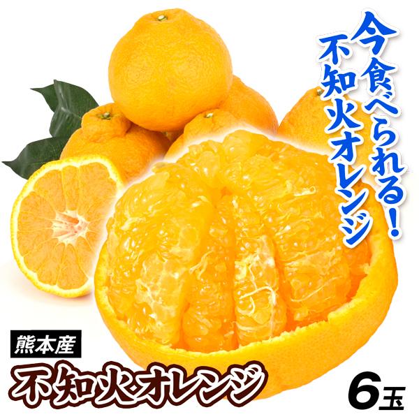 みかん 6玉 不知火オレンジ 熊本産 夏に食べられる ご家庭用 デコポンと同じ品種 しらぬい 送料無料 食品
