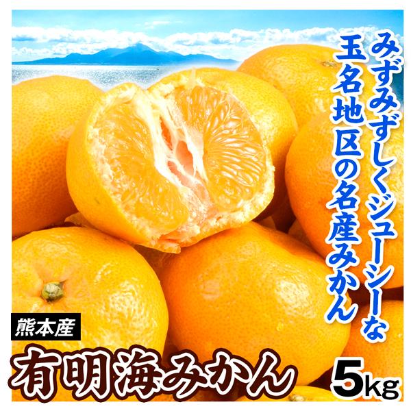 みかん 5kg 有明海みかん ご家庭用 熊本産 送料無料 食品