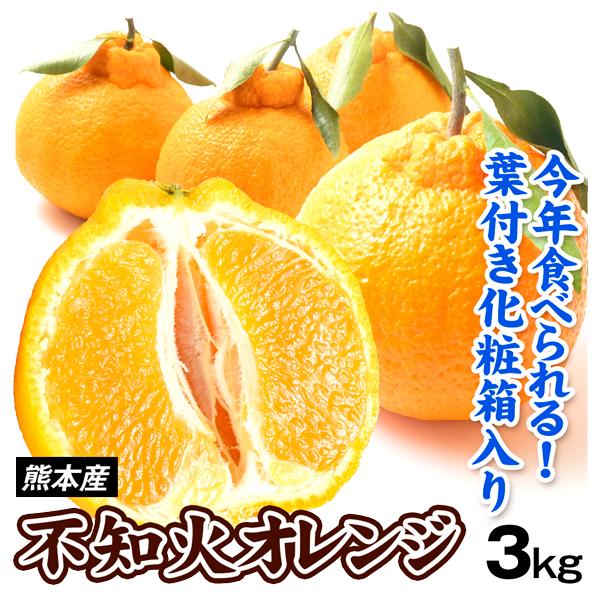みかん 3kg 不知火オレンジ 熊本産 今年食べられる 化粧箱入り ギフト デコポンと同じ品種 しらぬい 送料無料 食品