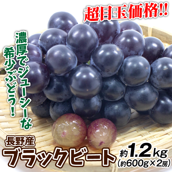 ぶどう 2房 ブラックビート 長野産 1.2kg ご家庭用 産地直送 葡萄 ブドウ フルーツ くだもの 食品 国華園
