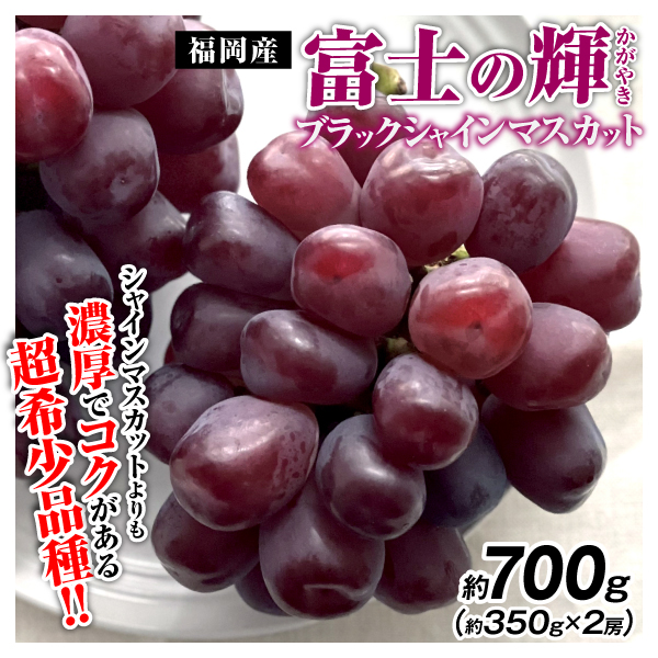 ぶどう 約700g 富士の輝 ブラックシャインマスカット 福岡産 ご家庭用 350g×2房 希少品種 送料無料 食品