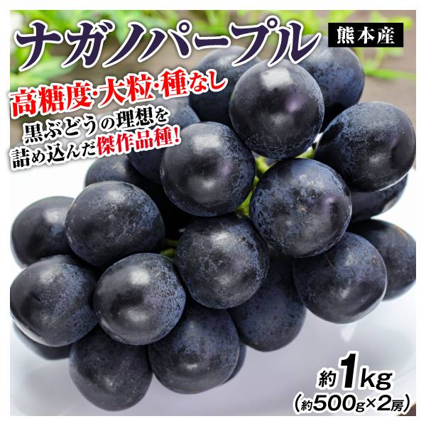 ぶどう 約1kg ナガノパープル 熊本産（約500g×2房）種なし 皮ごとOK 希少ぶどう 送料無料 食品