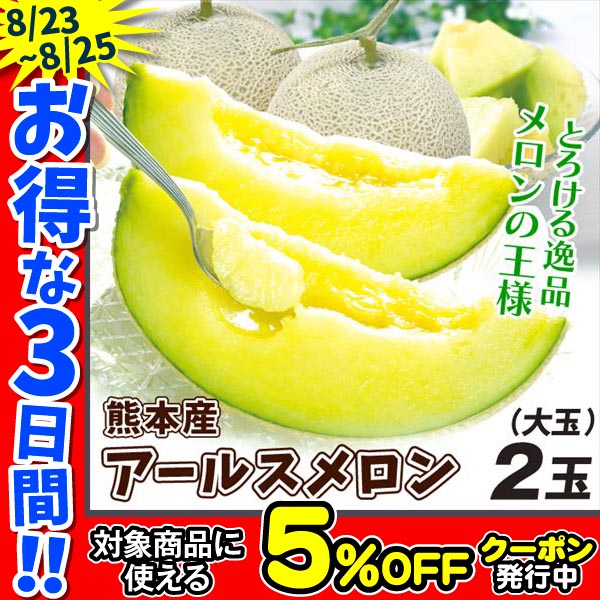 メロン 2玉 アールスメロン 熊本産 ご家庭用 大玉 送料無料 食品