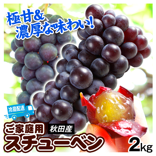 ぶどう 2kg スチューベン 秋田産 ご家庭用 蜂蜜ぶどう 中粒 送料無料 冷蔵便 食品