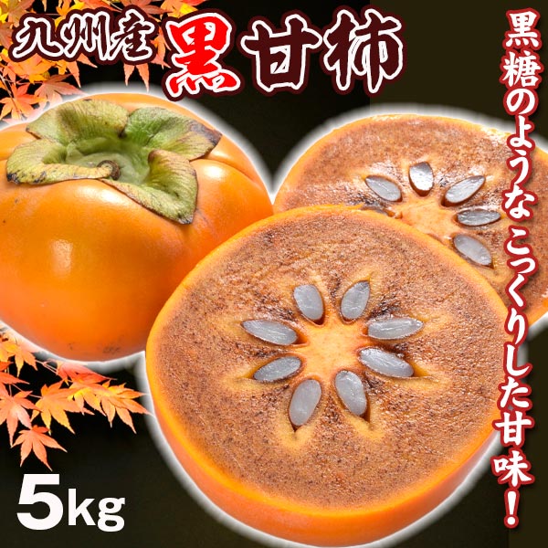 柿 5kg 黒甘柿 九州産 ご家庭用 送料無料 食品