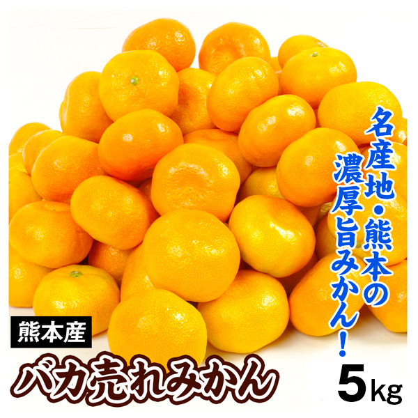 みかん 5kg 温州みかん バカ売れみかん 熊本産 極早生 蜜柑 バカ売れ 数量限定 送料無料 食品 国華園