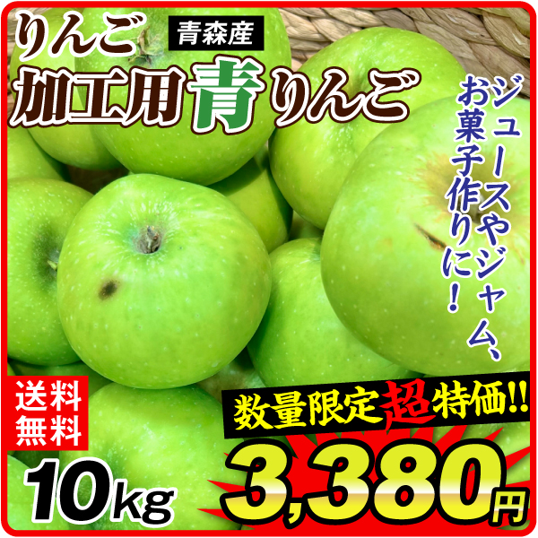 りんご 青森産 加工用 青りんご 10kg 訳あり 送料無料 食品