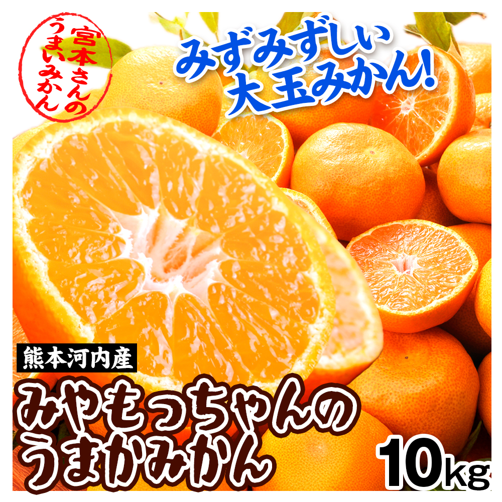 みかん 10kg みやもっちゃんのうまかみかん 熊本河内産 ご家庭用 熊本 温州みかん 大玉 数量限定 柑橘 蜜柑 送料無料 食品
