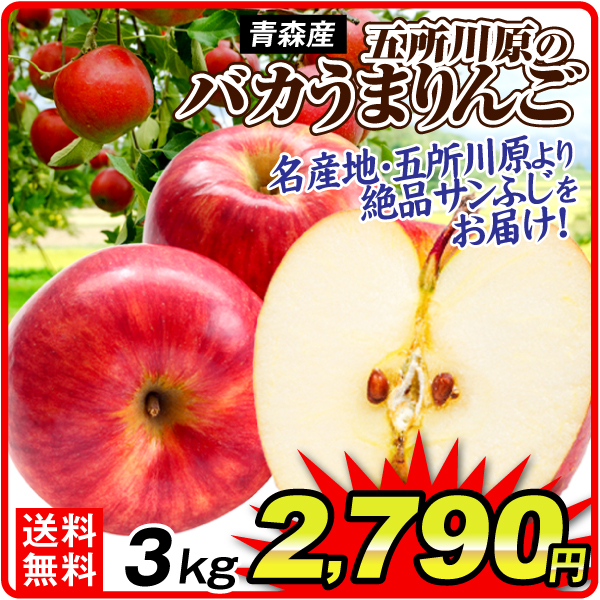 りんご 3kg 五所川原のバカうまりんご サンふじ ご家庭用 青森産 送料無料 食品