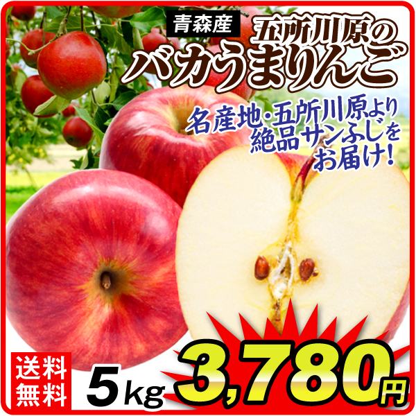 りんご 5kg 五所川原のバカうまりんご サンふじ ご家庭用 青森産 送料無料 食品