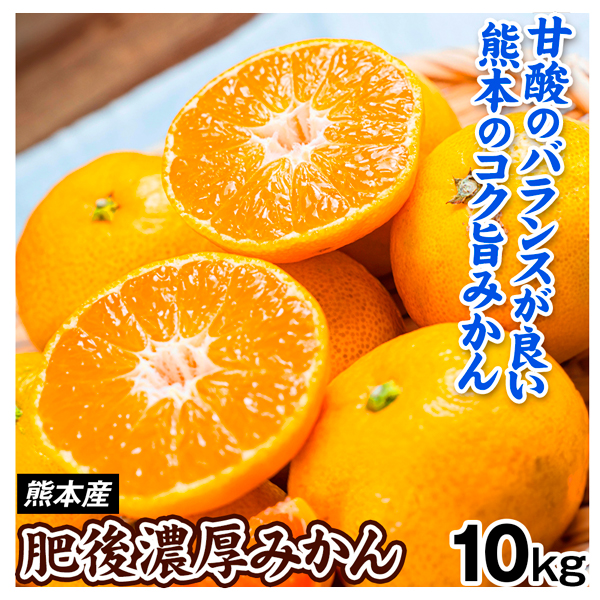 みかん 10kg 肥後濃厚みかん 熊本産 温州 蜜柑 ご家庭用 柑橘 送料無料 食品 国華園