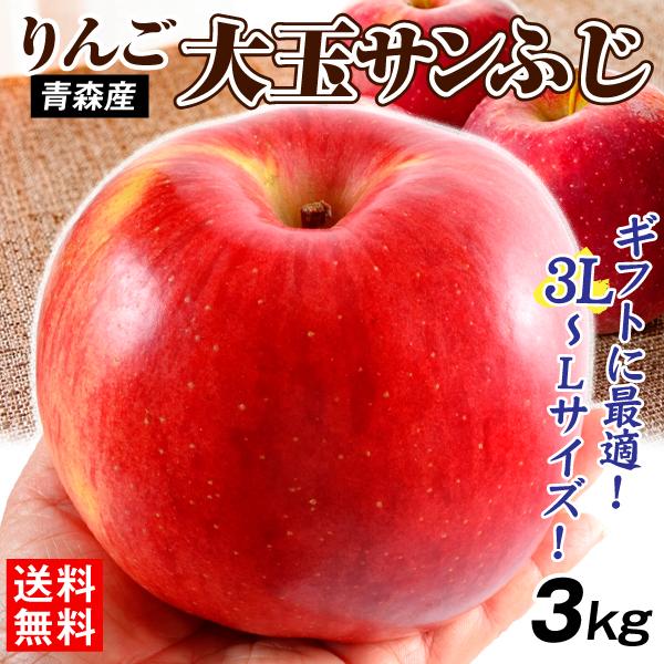 りんご 3kg 大玉サンふじ 青森産 3L～Lサイズ 大きい BIG 贈答用 ギフト 送料無料 林檎 フルーツ食品 国華園