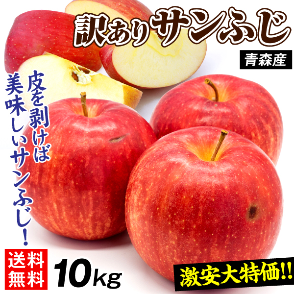 りんご 10kg 訳ありサンふじ 青森産 ご家庭用 送料無料 食品