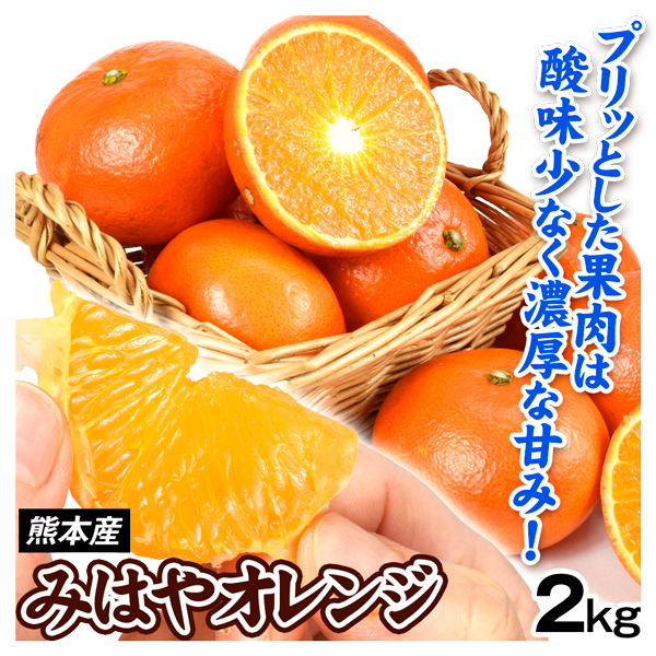 みかん 2kg みはやオレンジ 熊本産 みはや 蜜柑 ご家庭用 柑橘 オレンジ 新品種 送料無料 食品 国華園