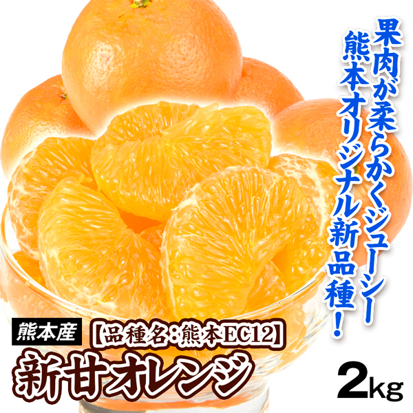みかん 2kg 新甘オレンジ 熊本産 熊本EC12 蜜柑 ご家庭用 柑橘 オレンジ 新品種 送料無料 食品 国華園