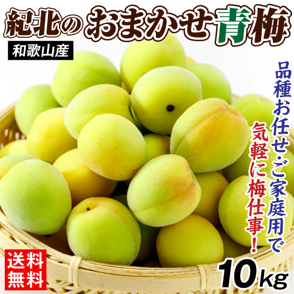梅 10kg 紀北のおまかせ青梅 和歌山産 ご家庭用 うめ 常温便 送料無料 食品