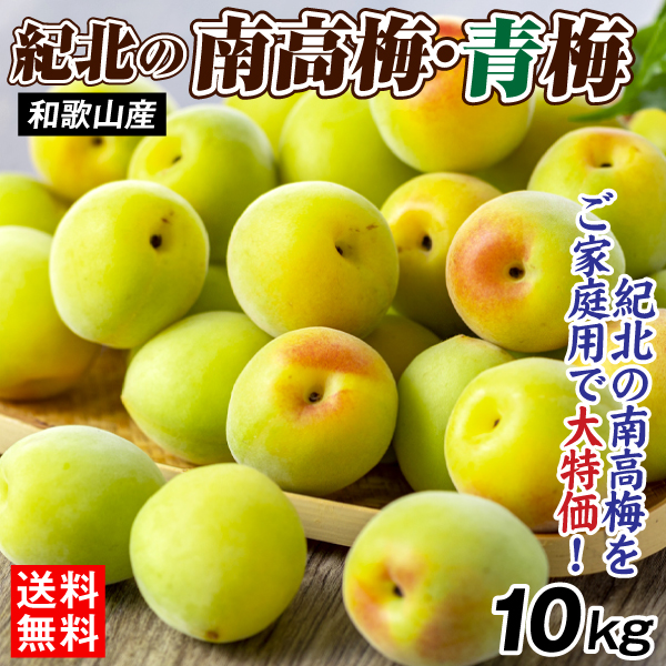 梅 10kg 紀北の南高梅 青梅 和歌山産 ご家庭用 うめ 常温便 送料無料 食品
