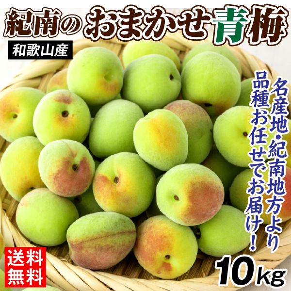 梅 10kg 紀南のおまかせ青梅 和歌山産 ご家庭用 うめ 常温便 送料無料 食品