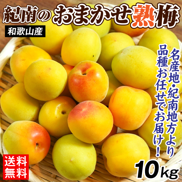 梅 10kg 紀南のおまかせ熟梅 和歌山産 ご家庭用 うめ 常温便 送料無料 食品