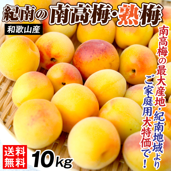梅 10kg 紀南の南高梅 熟梅 和歌山産 ご家庭用 うめ 常温便 送料無料 食品