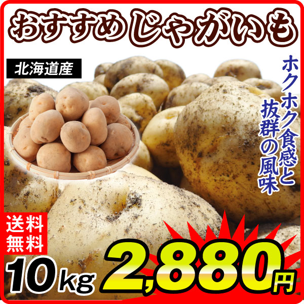 北海道産おすすめじゃがいも 10kg とうや 男爵いも 送料無料 食品