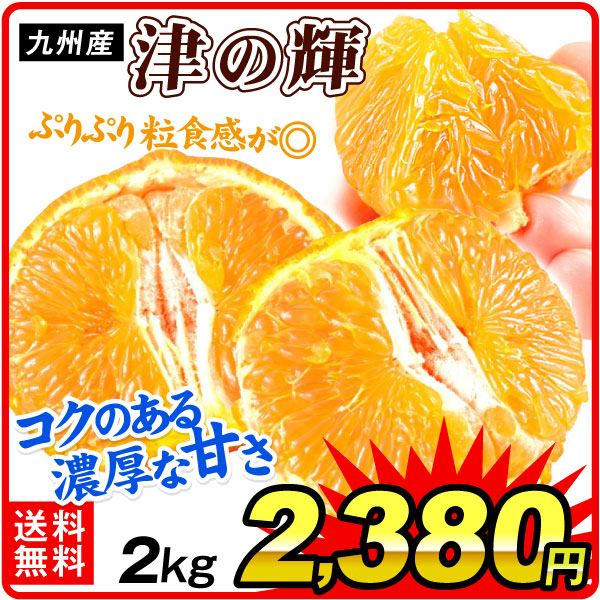 みかん 2kg 津の輝 九州産 つのかがやき 柑橘 濃厚な甘みとオレンジの芳醇な香り 手でむける 送料無料 食品