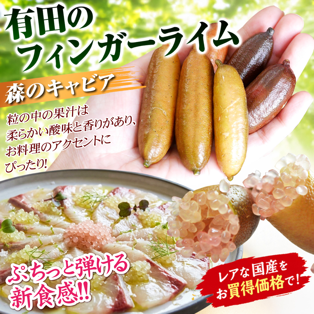 和歌山産 有田のフィンガーライム 100g（約5～7本）品種おまかせ ご家庭用 フルーツキャビア キャビアライム 送料無料 食品